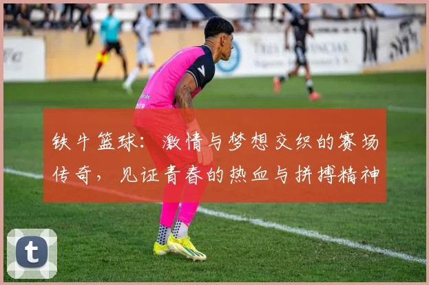 铁牛篮球：激情与梦想交织的赛场传奇，见证青春的热血与拼搏精神