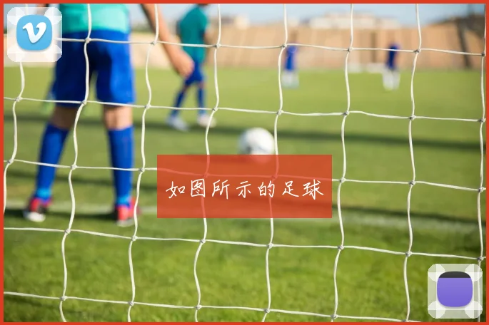 如图所示的足球