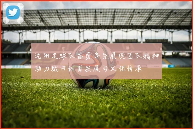 沈阳足球队奋勇争先展现团队精神助力城市体育发展与文化传承