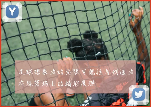 足球想象力的无限可能性与创造力在绿茵场上的精彩展现