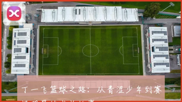 丁一飞篮球之路：从青涩少年到赛场明星的成长故事
